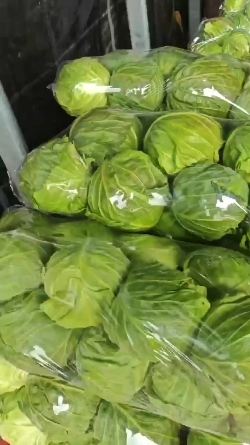 优质甘蓝产地发货，保质保量，可视频看货全国发货