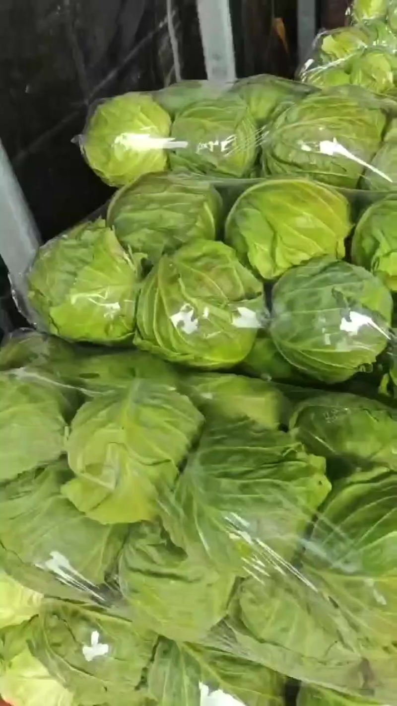 优质甘蓝产地发货，保质保量，可视频看货全国发货
