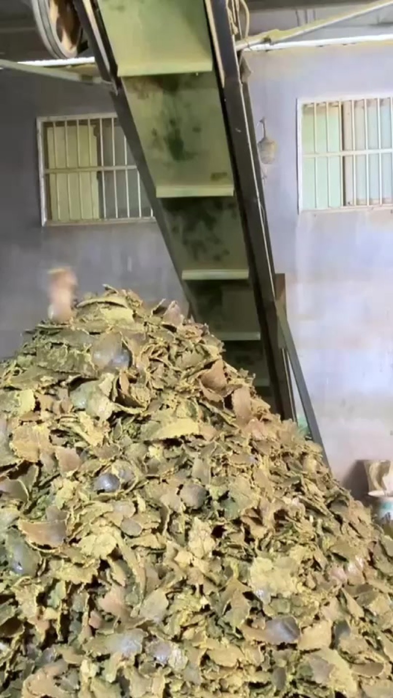 熟化棉籽饼肥用于瓜果业等农业种植底肥