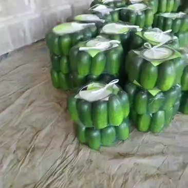 绿皮小冬瓜