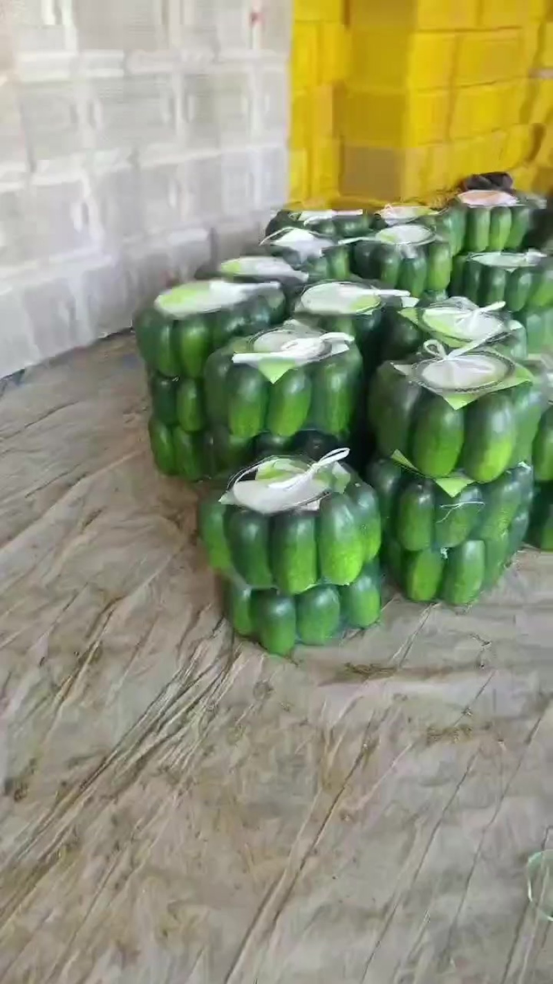绿皮小冬瓜