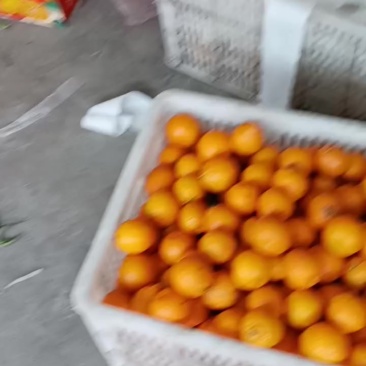一件代发货源充足