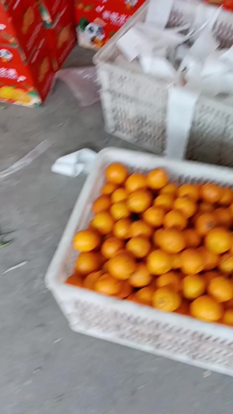一件代发货源充足