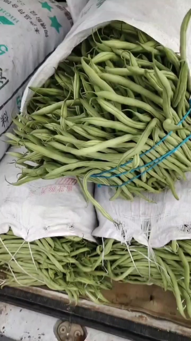 张家口豆角质量好品质高
