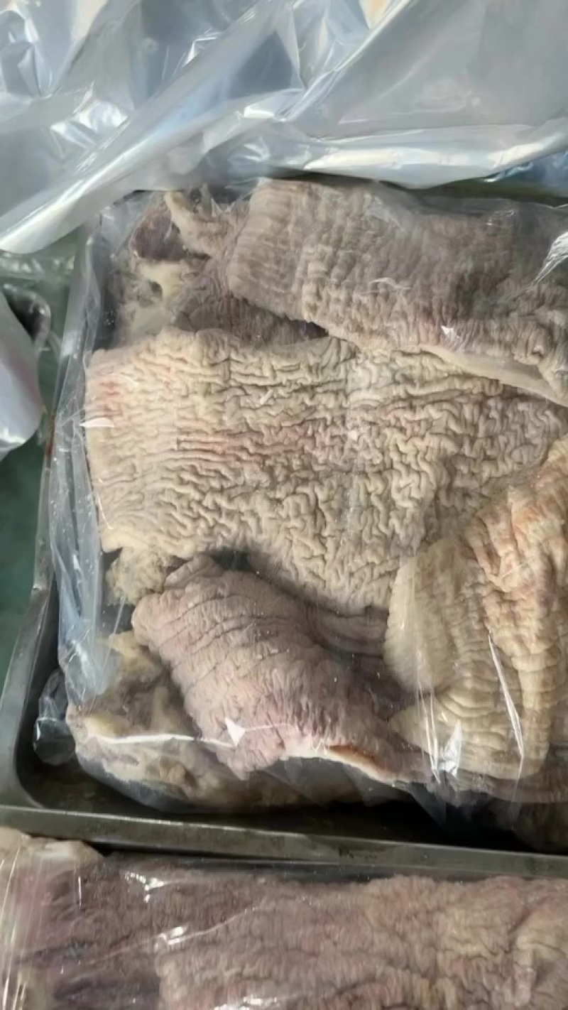 牛碗口肠头大量货