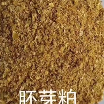菌体蛋白