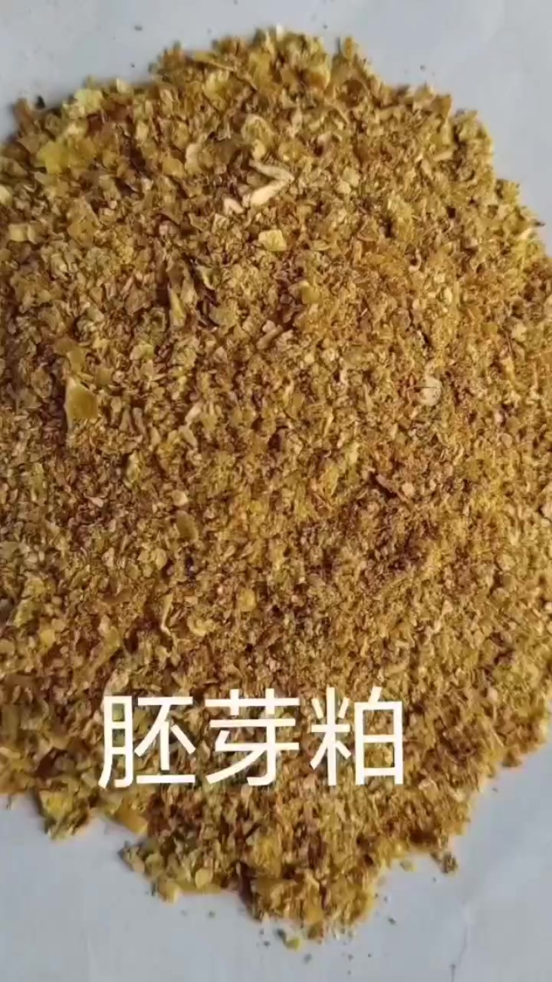 菌体蛋白