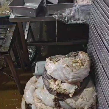 屠宰场每日鲜百叶直销品质保证质量圆刀纯干货