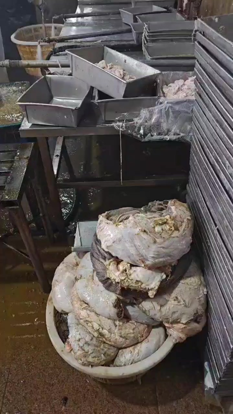 屠宰场每日鲜百叶直销品质保证质量圆刀纯干货