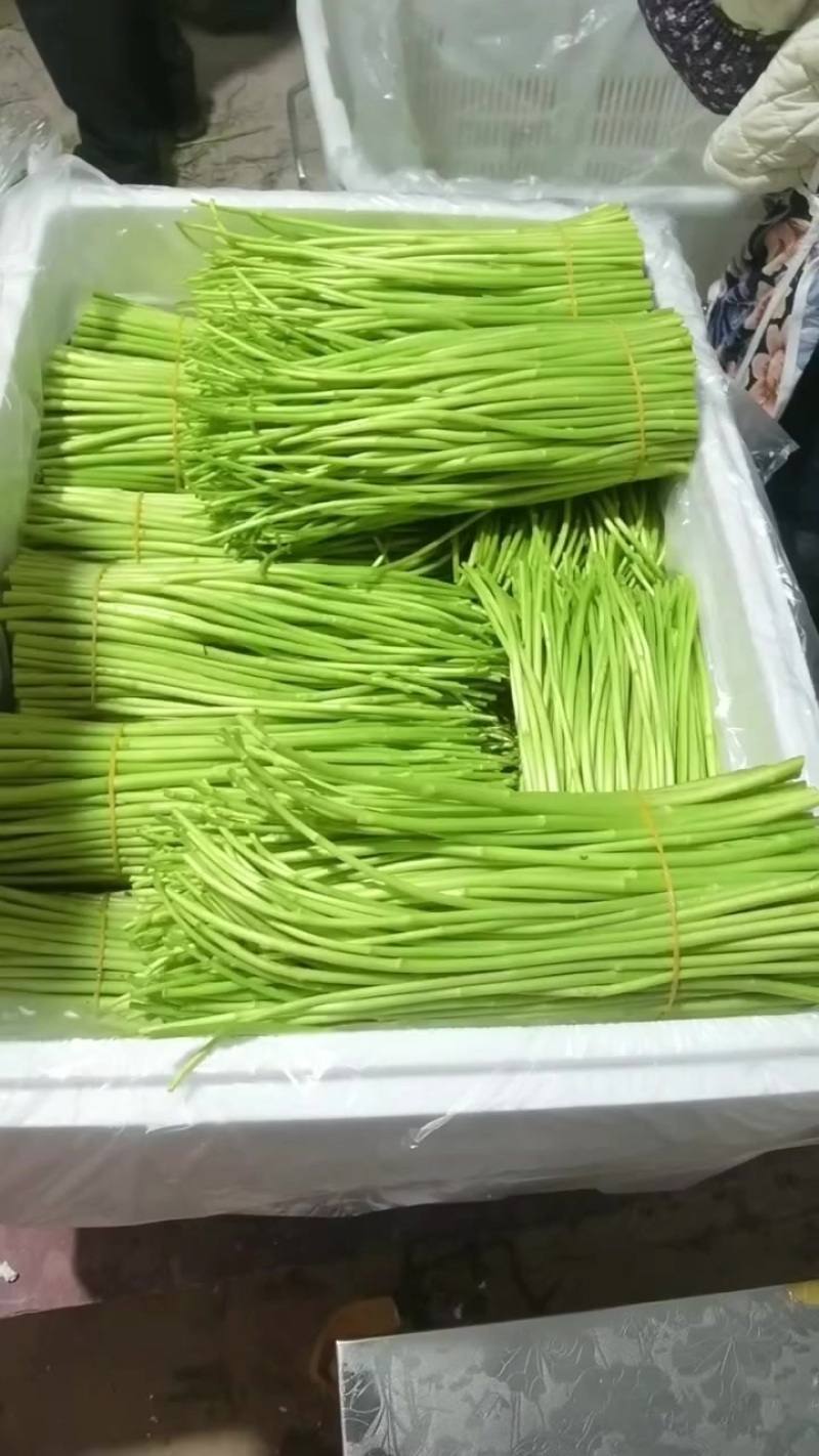 价格好时候没好货货好的时候没价格老板些这是不是你要精品
