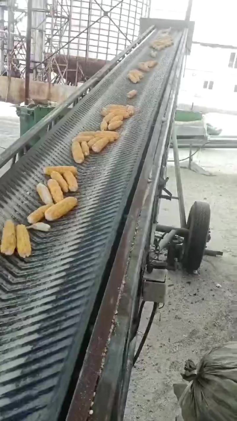 东北粘玉米粉