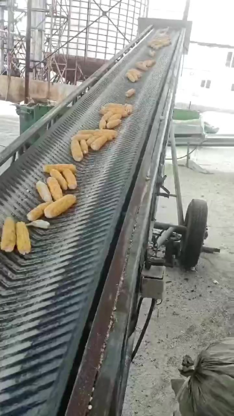 东北粘玉米粉