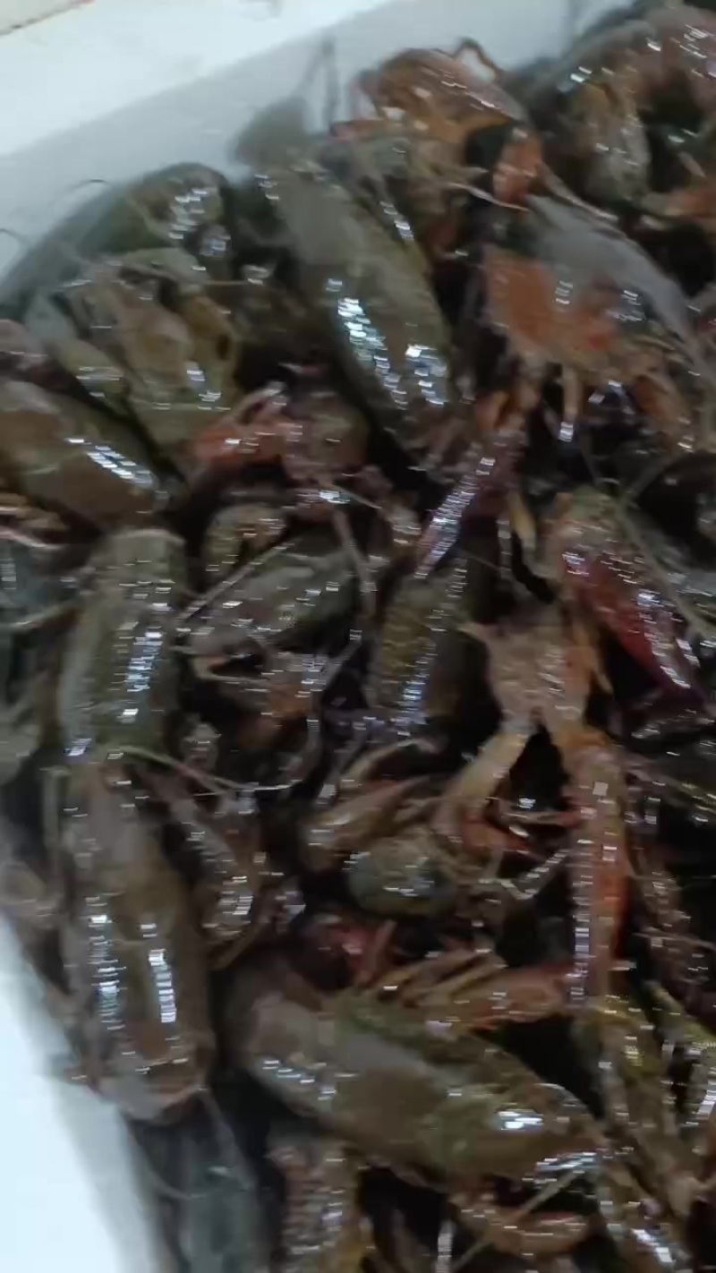 产地直销价格，广州发货，送货上门，质量保证