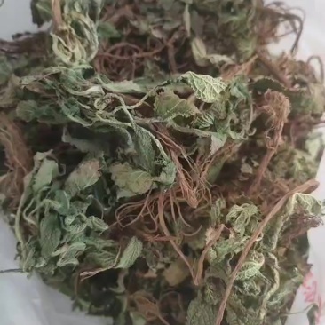 干荔枝草