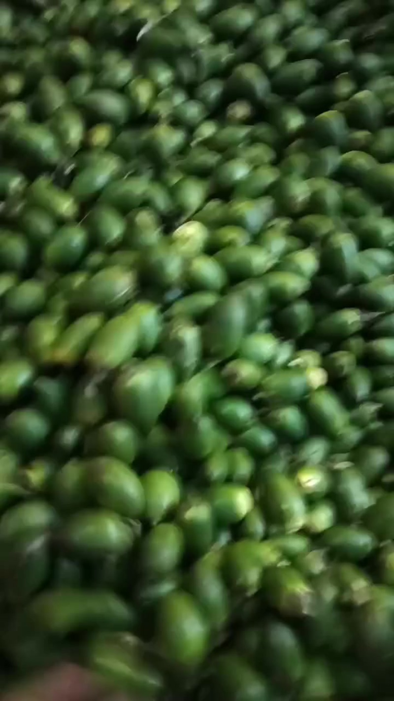 槟榔