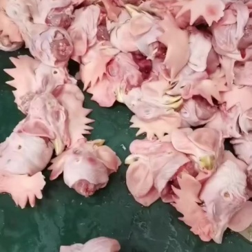食品级大公鸡头