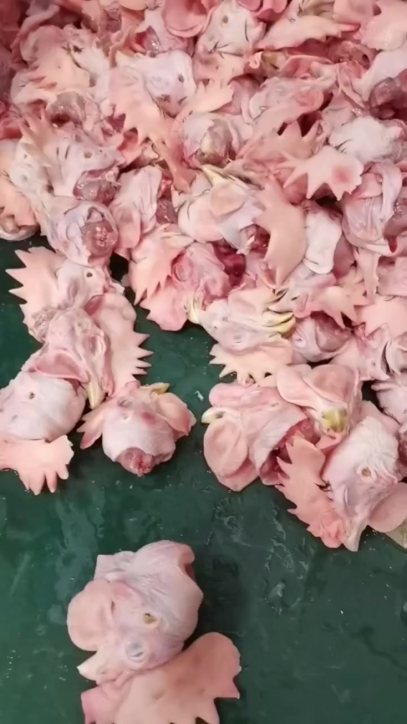 食品级大公鸡头