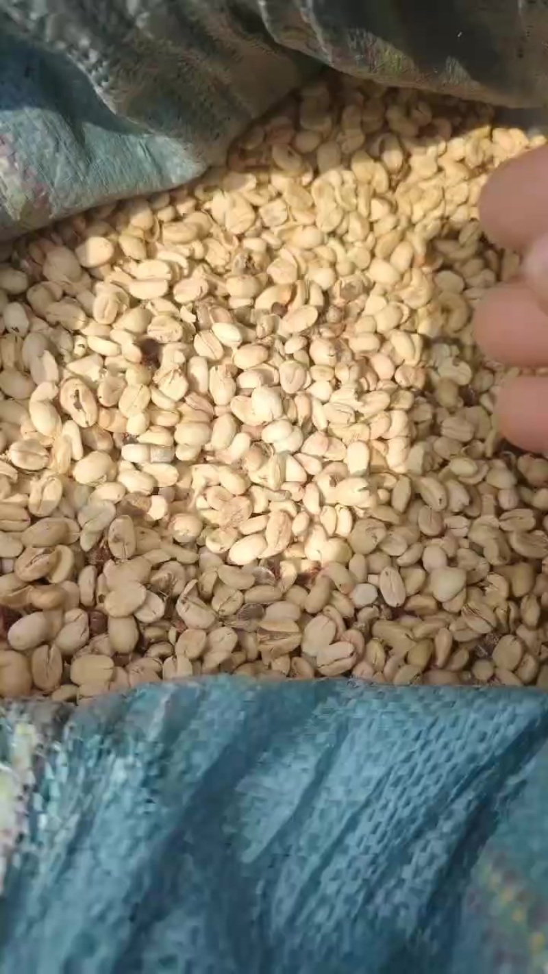 大颗粒咖啡豆