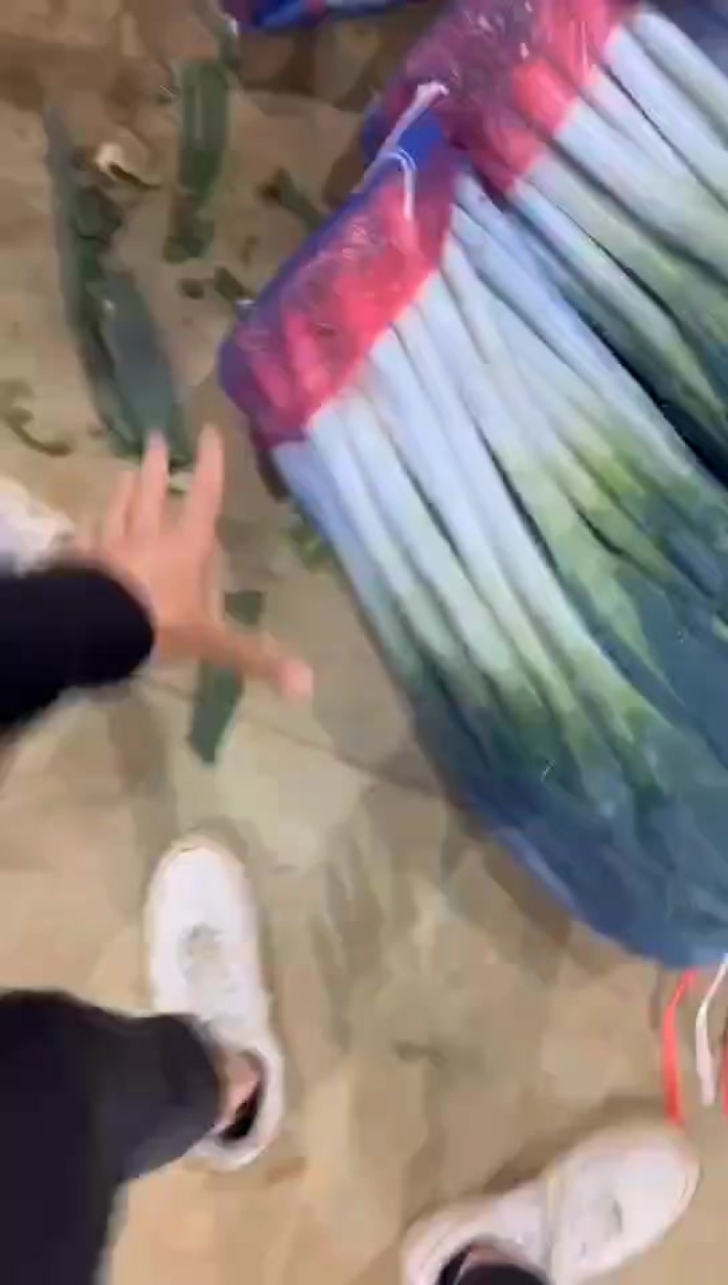 精品大葱，大量有货，质量保障，价格不高，用的联系