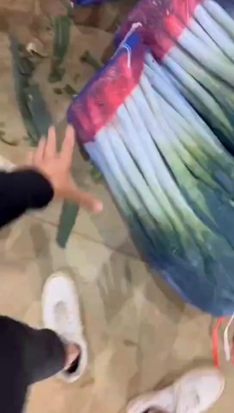 精品大葱，大量有货，价格不高，质量保障，需要的联系