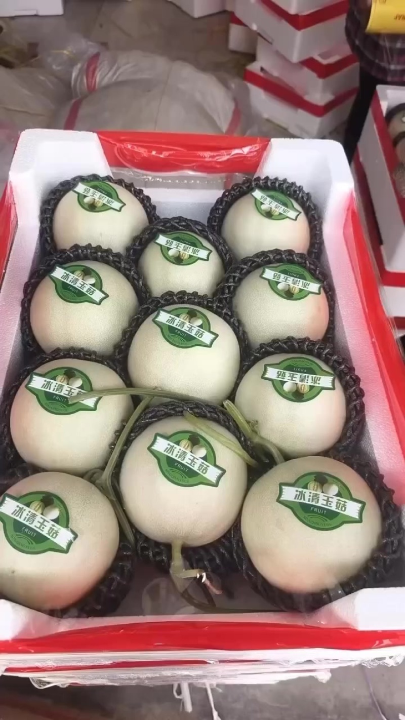 玉菇