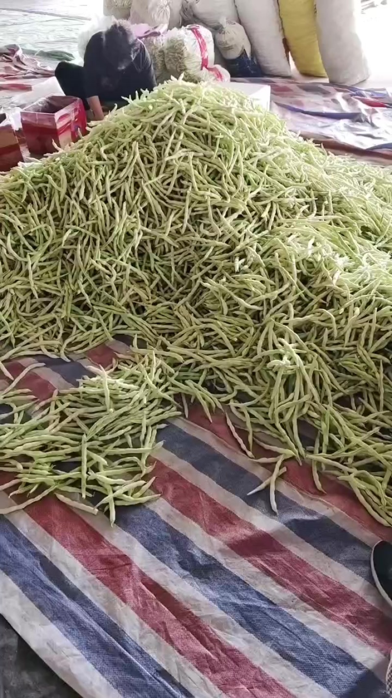 芸豆大跌价