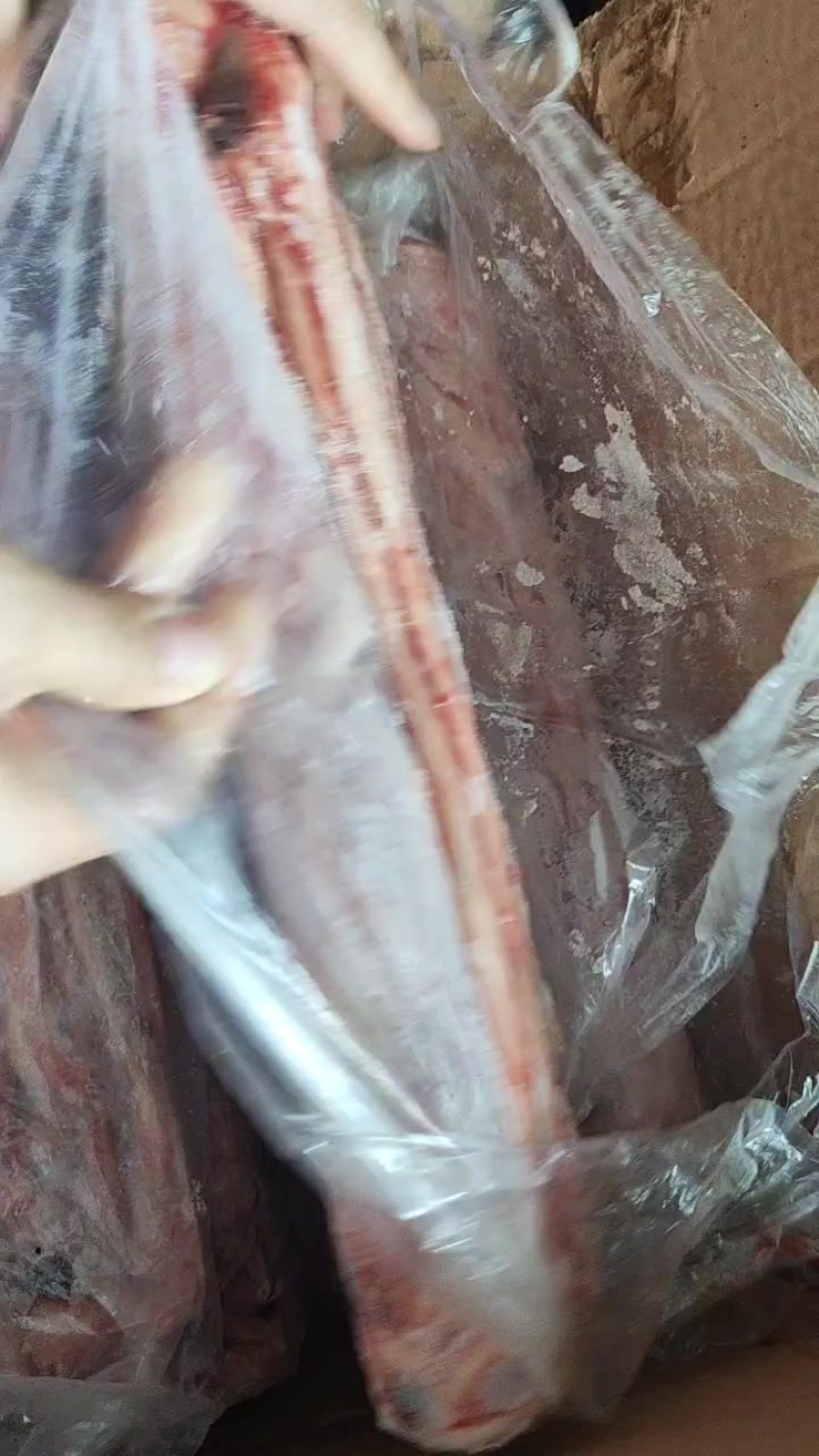 精修猪鞭，纯干货，一件400条
