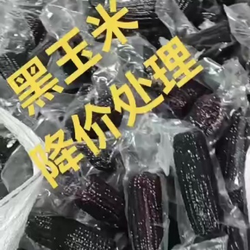 黑玉米产地供应链对接各大电商平台社区团购支持一件