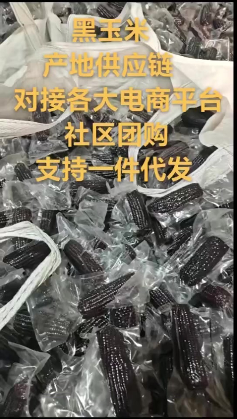 黑玉米产地供应链对接各大电商平台社区团购支持一件