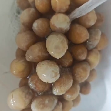 冻鹌鹑蛋，价格便宜，商用的联系