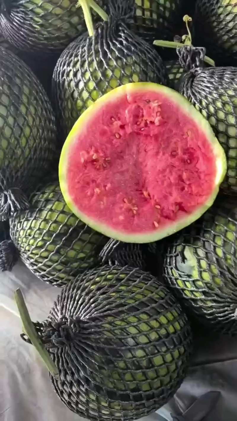 麒麟，美都，甜王