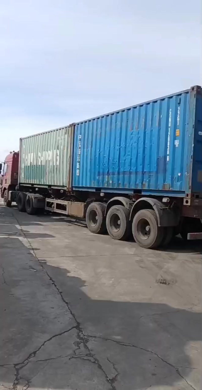 东北非转基因大豆