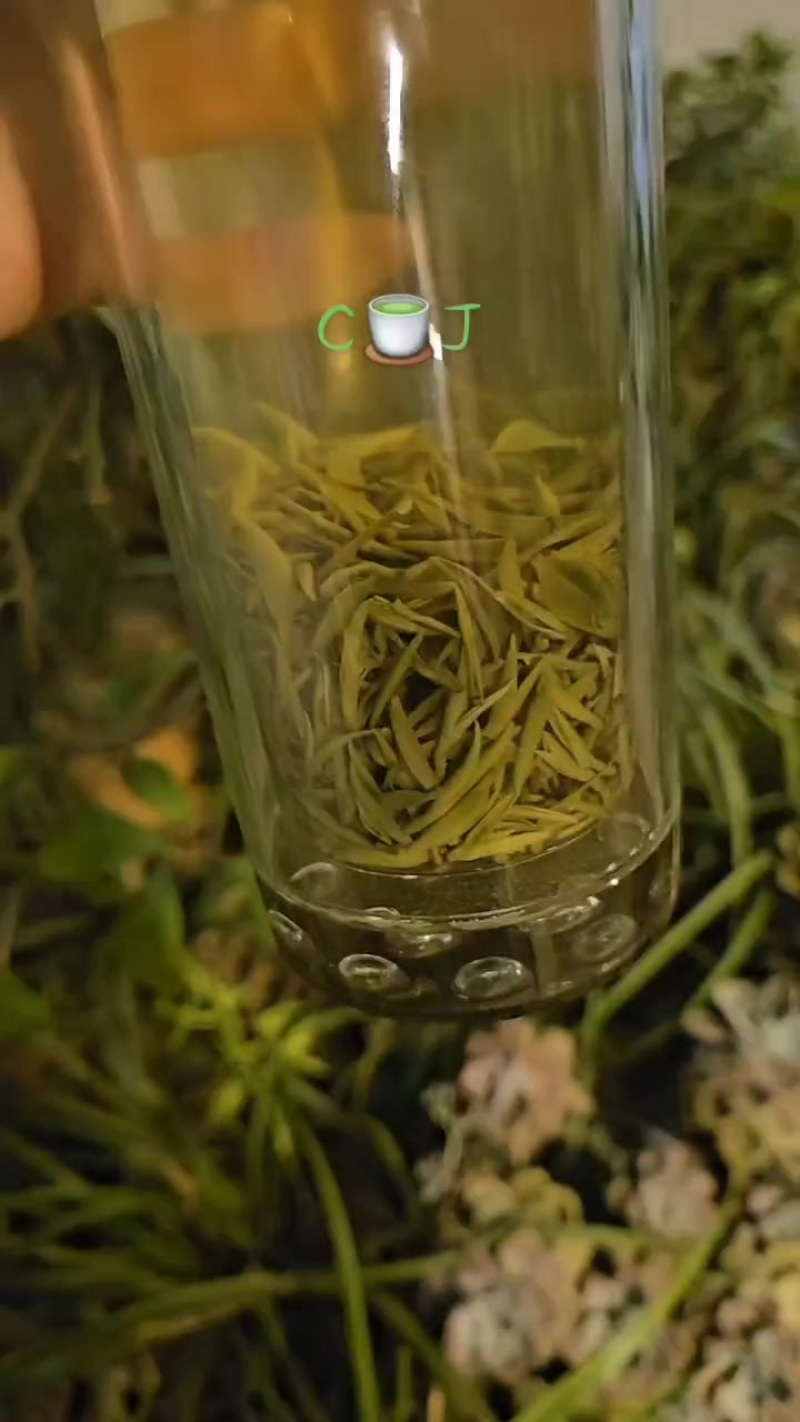 茶叶毛尖