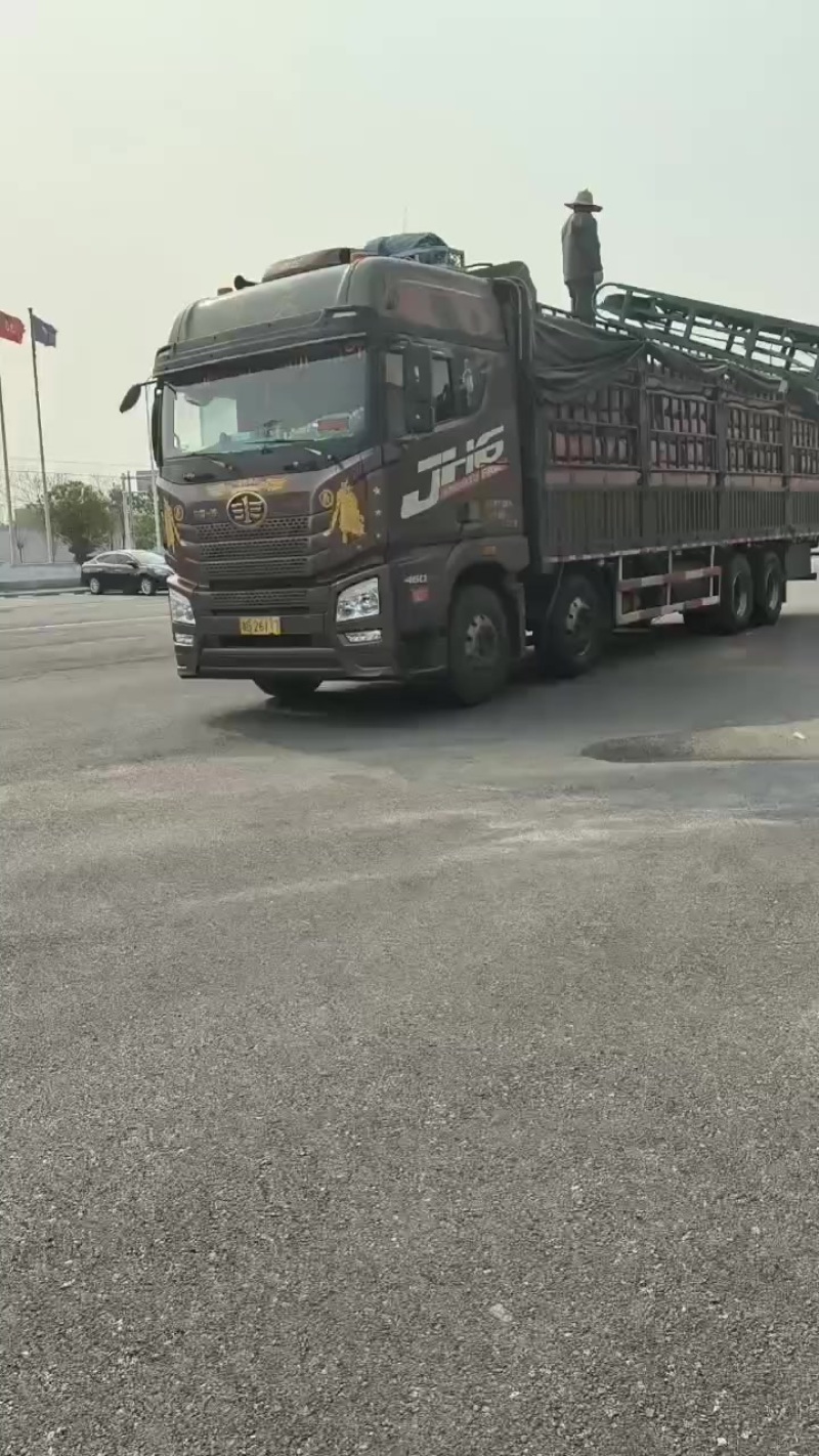 广西压缩稻壳出售整车到家