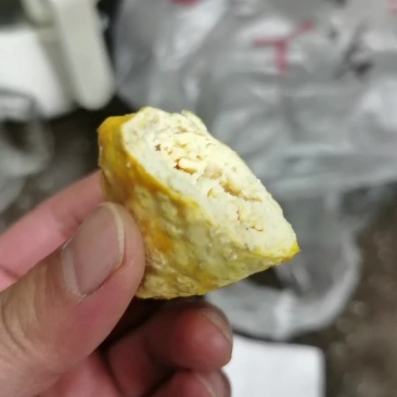 是否是鸡宝求助