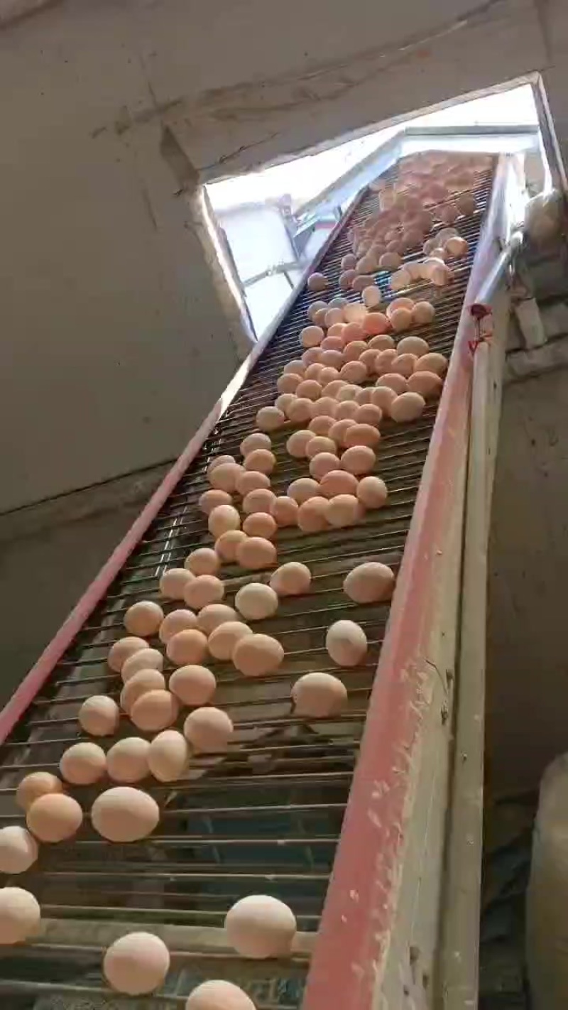 精品，每天现货