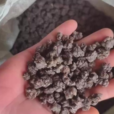 野生猫爪草规格齐全，种植基地直发有需要的联系