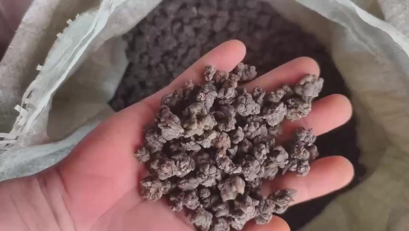 野生猫爪草规格齐全，种植基地直发有需要的联系