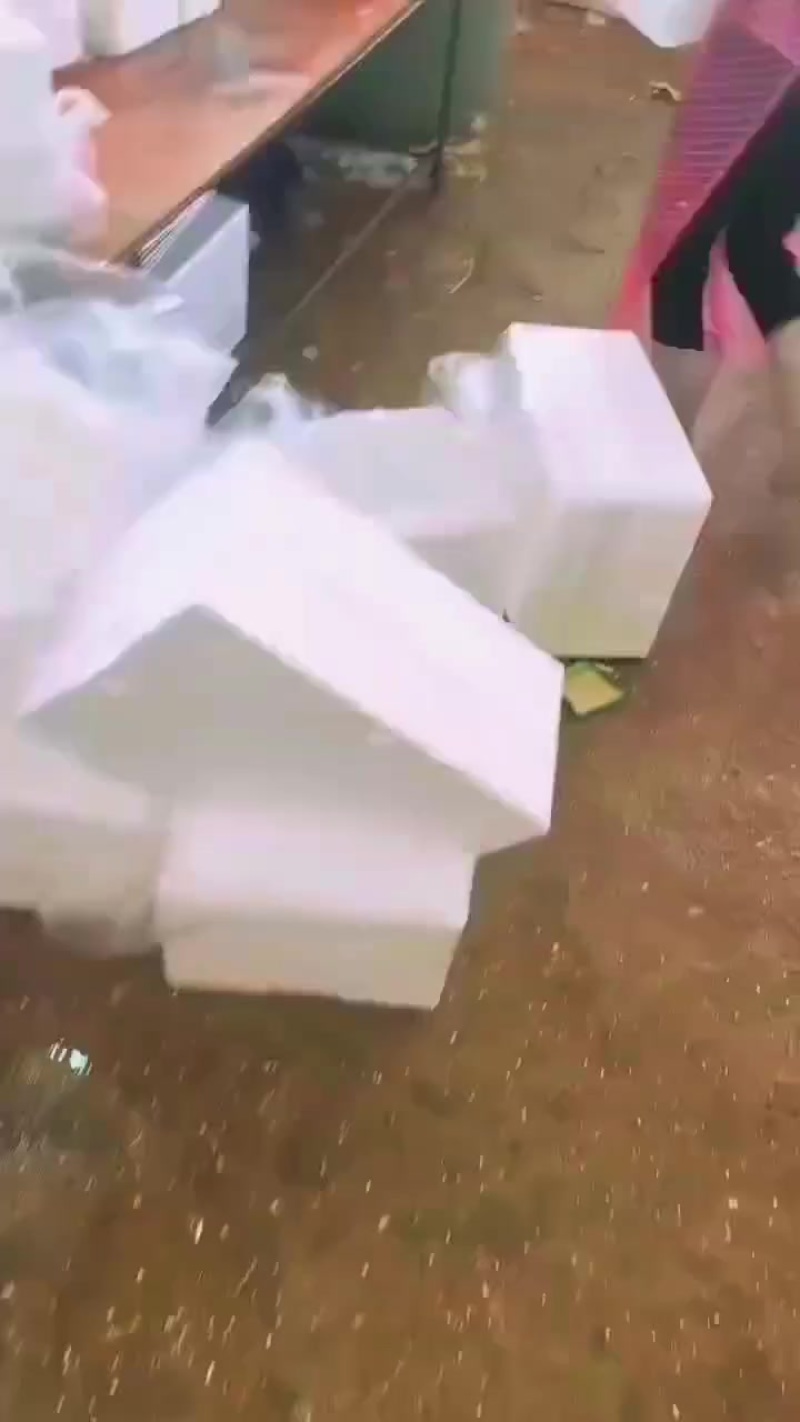 子姜