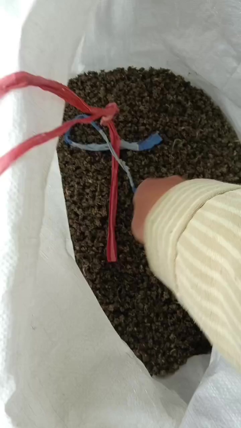 纯野生猫爪草