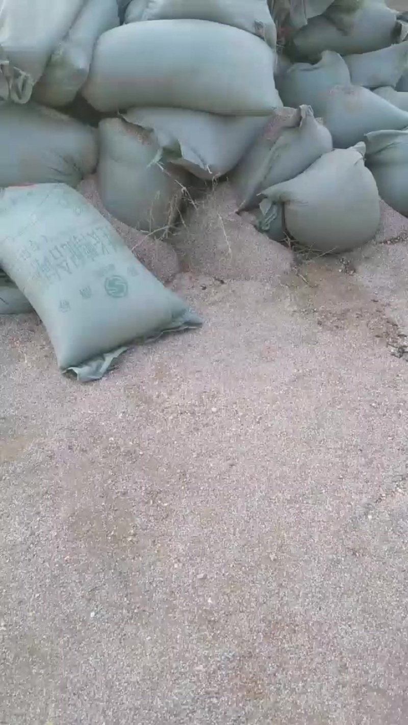 东北高粱碎半