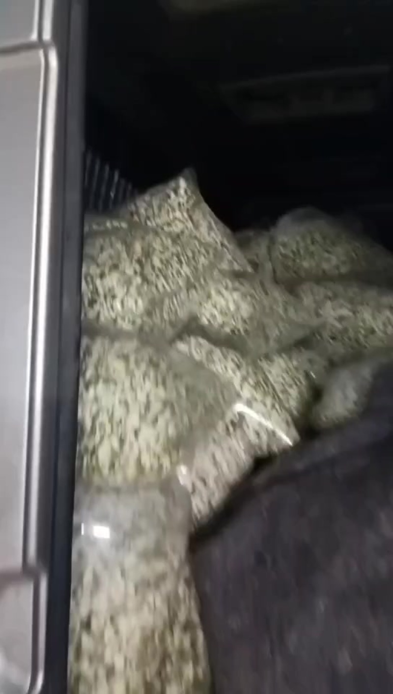 洋槐花
