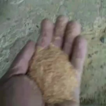 1.2除尘糠有现货。