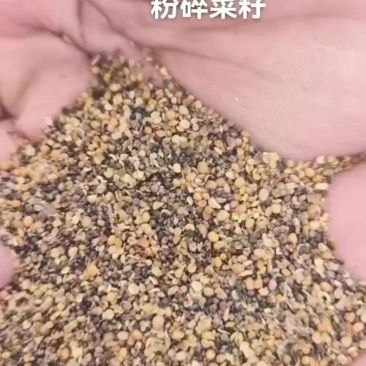 粉碎菜籽大量供应
