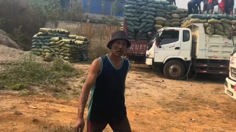 缅甸木炭