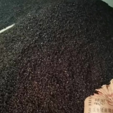 青梅干果，生果