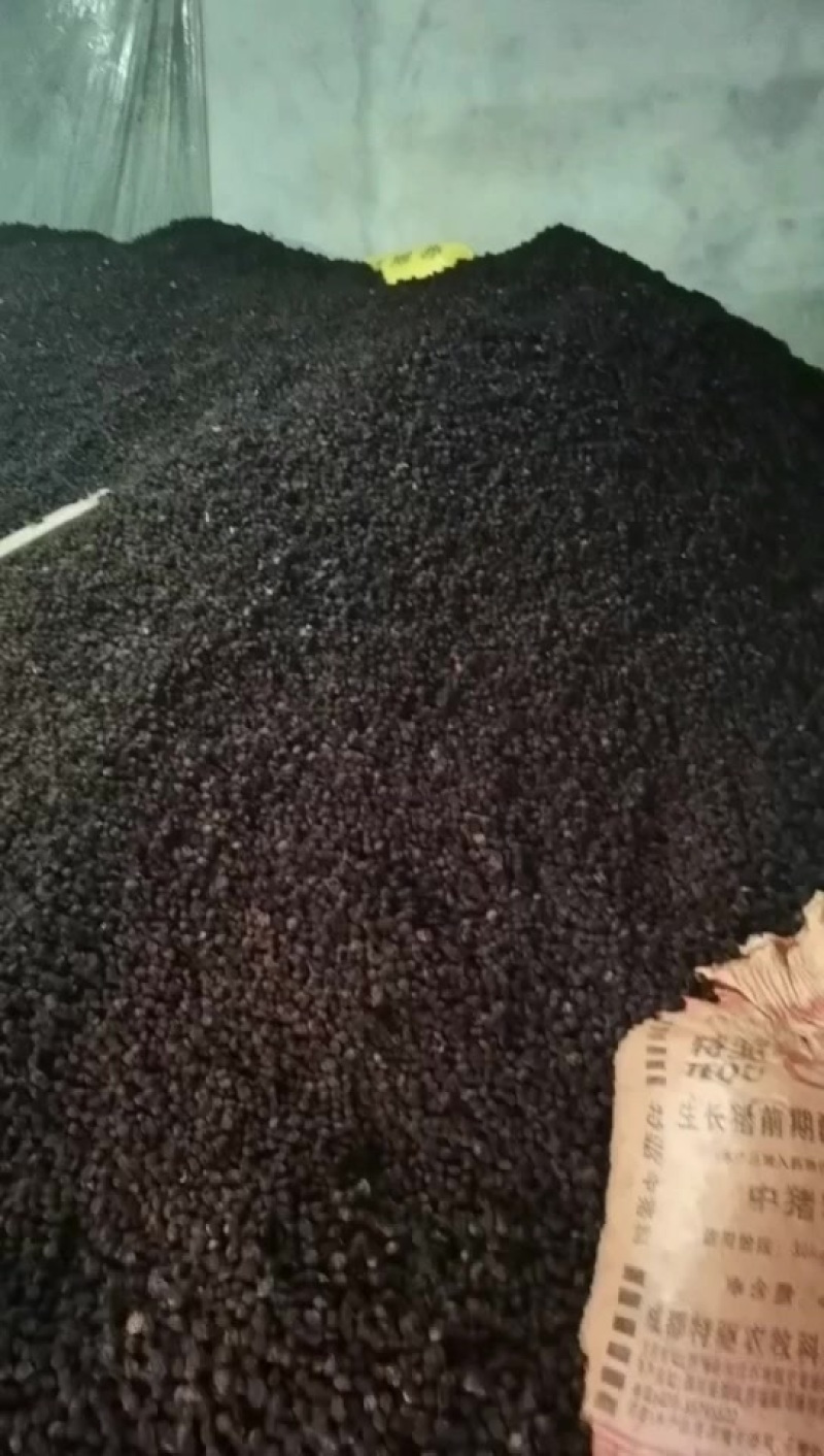 青梅干果，生果