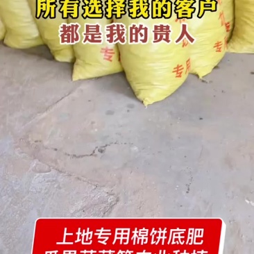 熟化棉饼瓜果蔬菜种植改良土壤肥效持久