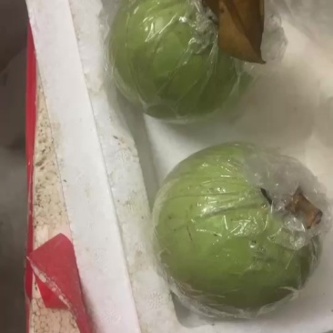 牛奶果