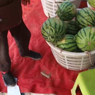 麒麟西瓜